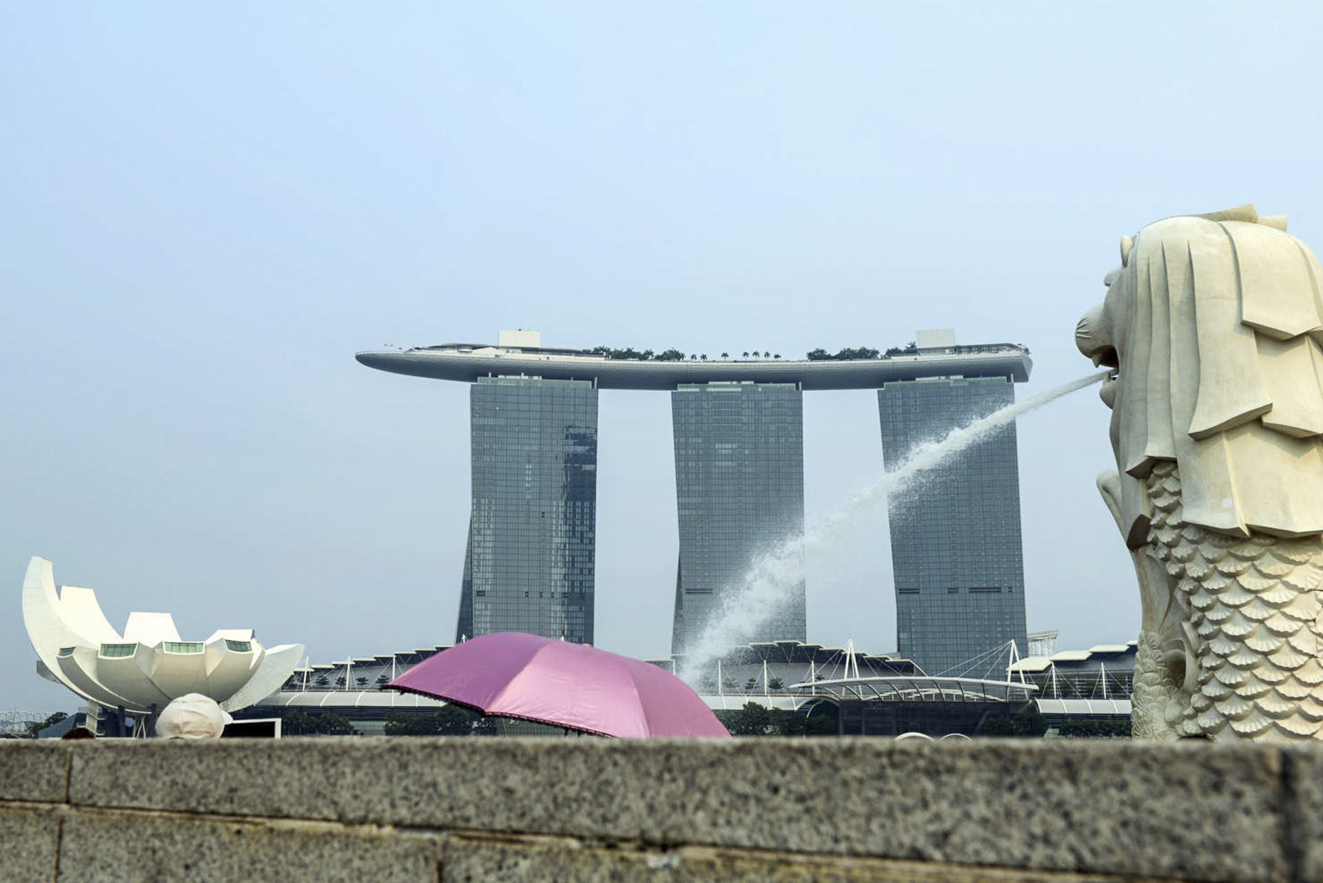 2007